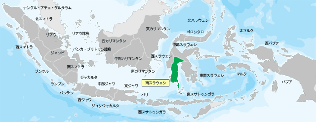 インドネシア・南スラウェシ州ゴワ県のシルク製織り布(B)-