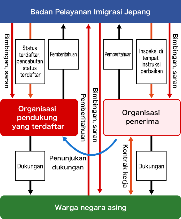 Korelasi antara Badan Pelayanan Imigrasi Jepang, organisasi pendukung yang terdaftar, organisasi penerima dan warga negara asing sebagai berikut; 
Organisasi penerima mengikat kontrak kerja dengan warga negara asing dan memberi dukungannya. Selain itu, organisasi penerima bisa menunjuk organisasi pendukung yang terdaftar untuk memberikan dukungan kepada warga negara asing. Badan Pelayanan Imigrasi Jepang berwenang mengakui dan mencabut status terdaftar bagi organisasi pendukung yang terdaftar. 
Organisasi pendukung yang terdaftar memberikan dukungan kepada warga negara asing. Badan Pelayanan Imigrasi Jepang melakukan inspeksi di tempat dan memberi instruksi kepada organisasi penerima untuk melakukan perbaikan.
